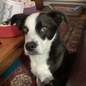 Fundraising Page: Craig Smith